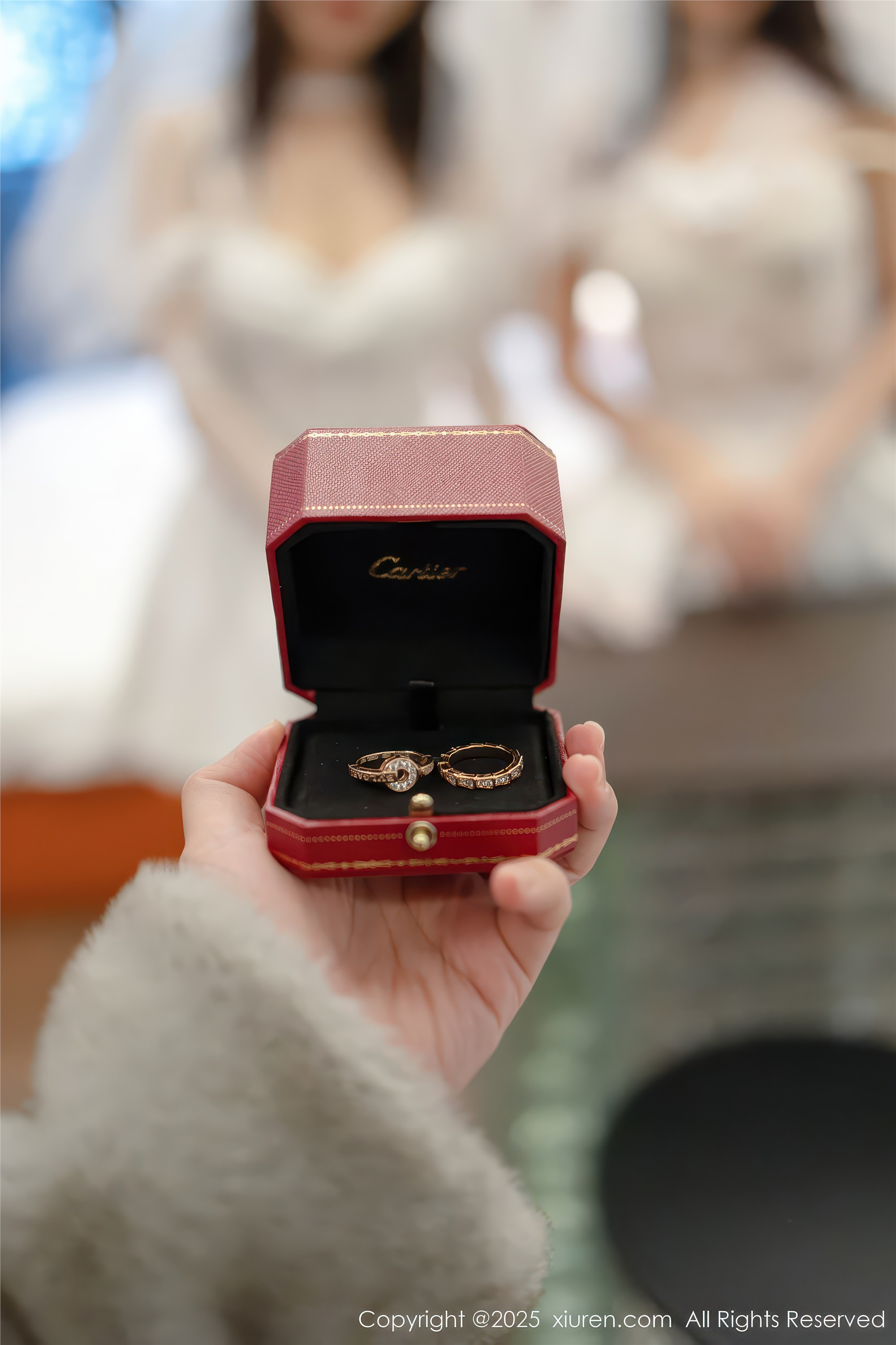 Xiuren秀人网 2025.12.31 NO.11184 Twins-夭夭